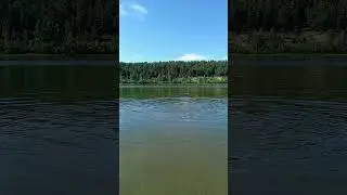 Река Бия на острове