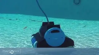 Dolphin Nautilus Robotic Pool Cleaner