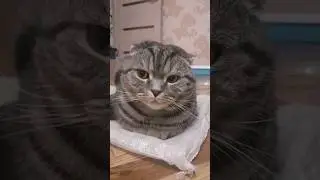 Ричард отдыхает (