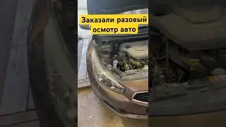 Говорят брали с подборщиком #автоподбор #автоэд #разовыйосмотравтоэд