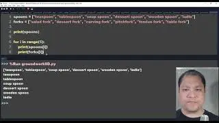 Python Level 1 - Groundwork 8D - List index with for loop