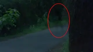 True Scary Videos | Real Ghost Caught On Camera | Top Ghosts Videos | Ghostly Shadow