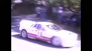 Rally Wrc 1984   Rally Grupo B   Nº3