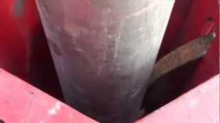 COCCODRILLO