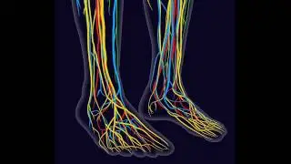PERIPHERAL NEUROPATHY TREATMENT, NERVE REGENERATION SOUNDTHERAPY, BINAURAL BEATS MEDITATION MUSIC