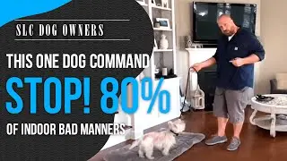 How Salt Lake City Dog Owners Solve 80% of Their In-Home Dog Problems With One Command