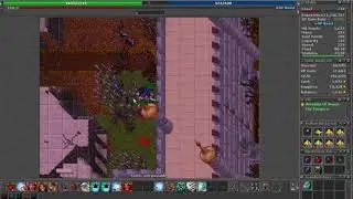 Tibia: Nightmare hunt yalahar