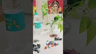 grow money plant in whiskey glass | vastu for money plant #moneyplant #shorts