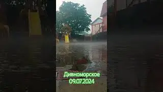 Дождались.Дивноморское лето 2024.