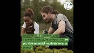 Mastering Organic Gardening in a Greenhouse Proven Principles and Tips