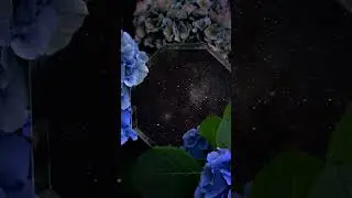 Intro Concept „The Key” part3 MbS Movies by Sisters 2023 #thekey #shorts
