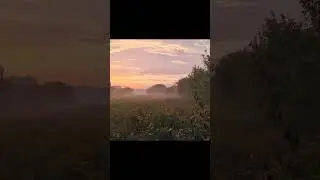 #aesthetic