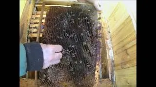 Осмотр погибшей семьи