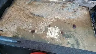 coastlines time lapse 1