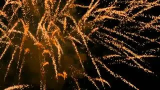 Fireworks 4K panasonic fz1000