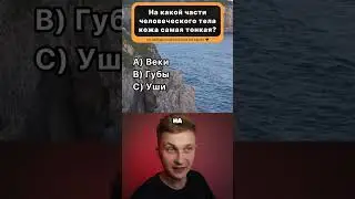На Сколько Вопросов Ответил ТЫ?