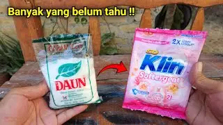 PEMBASMI SEMUT PALING AMPUH !!!