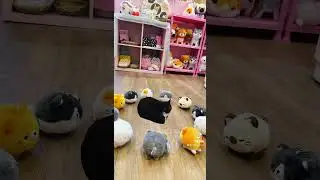 They hath summoned him 🐈‍⬛ #tofucute #kawaiishop #maxwellthecat #kawaii #plushies #kawaiiaesthetic