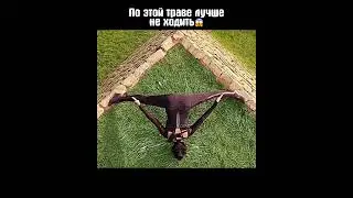 По этой траве лучше не ходить😱 