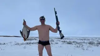 Охота на гуся в ЗАПОЛЯРЬЕ 2024