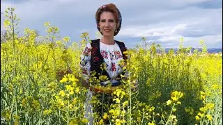 Ionela Moruțan - Azi nevestele-s buiece 🥂 🆕 2️⃣0️⃣2️⃣2️⃣ 🆕