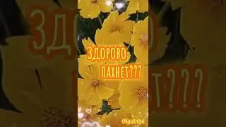 Доброе утро!!!☀️