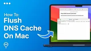 How To Flush DNS Cache On Mac | Easy Guide