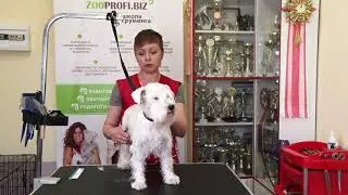 Мастер-класс 