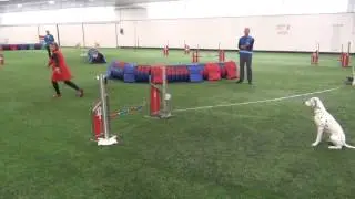 L , Startti , Pörri