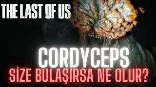 THE LAST OF US MANTARI Cordyceps Size Bulaşırsa Ne Olur?