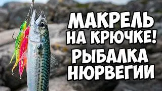 Рыбалка в Норвегии. Тест осьминогов и ловля скумбрии. Выпуск 6. 