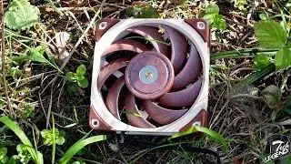 Noctua NF-A12x25 PWM | Fan Review