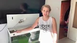 Как мыть аквариум