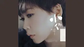 空殼