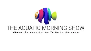 The Aquatic Morning Show