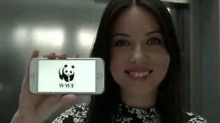Ирина Волкова, Новый канал, WWF
