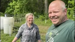 Day in the Life of a Small Homestead | Pigs & Broccoli