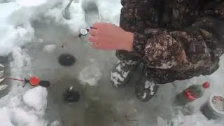 Озеро ольховка Михайловка