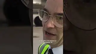 How Did A Lizard Get On The Plane?