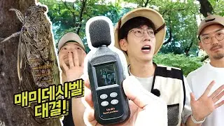 더 큰 소리를 찾아라! 매미데시벨 대결~