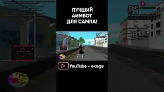ЛУЧШИЙ БЕСПАЛЕВНЫЙ ПРИВАТНЫЙ АИМ ДЛЯ GTA SAMP ЧАСТЬ 3 #shorts #evolverp #gtasamp