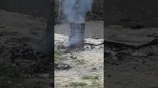 Бочка кафид