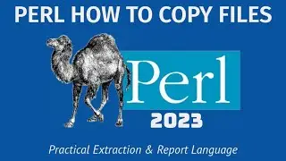 Perl Programming - HOW TO Copy Files 2023