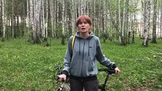 Обращение к Путину от жителей Академического