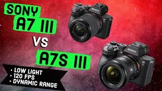 Sony a7III VS a7S III Video Review (A7s III Low light Comparison, 4K 120 fps, 60 fps + 1080 240 fps)