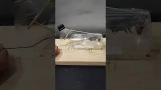 Easy Rat Trap . The Simplest Mouse Trap at home #shorts