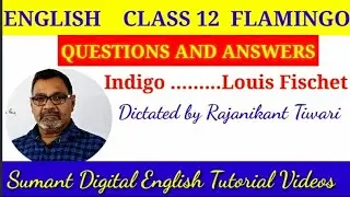 Indigo Questions with Answers Class 12 English