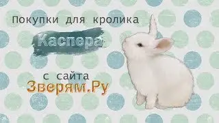 РАСПАКОВКА. Покупки для карликового кролика
