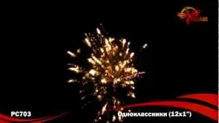 РС703 Одноклассники