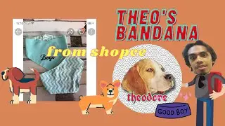 Theo's Shopee Delivery . #shopee #beagle